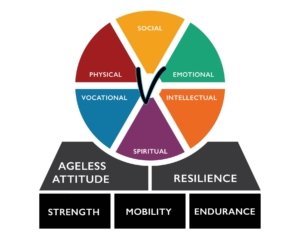 Vitality Portfolio Model